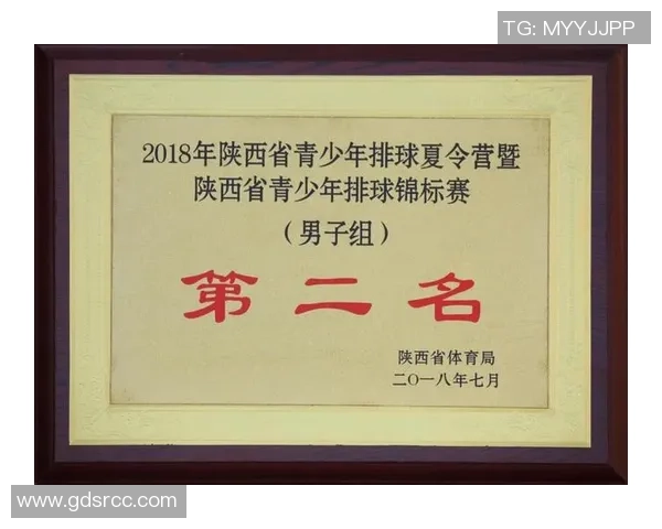 深圳排球队在全国排球战术排行榜中荣获第七名的辉煌成就分析